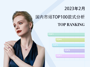 国内材质--2023年2月国内市场TOP100款式分析