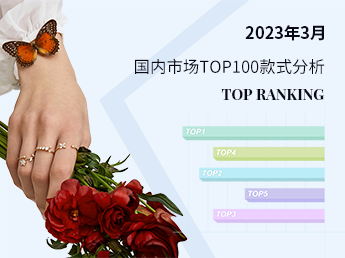 国内材质--2023年3月国内市场TOP100款式分析